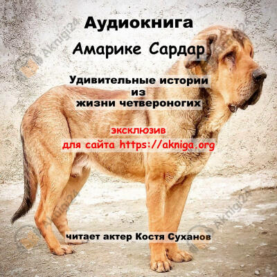 Удивительные истории из жизни четвероногих