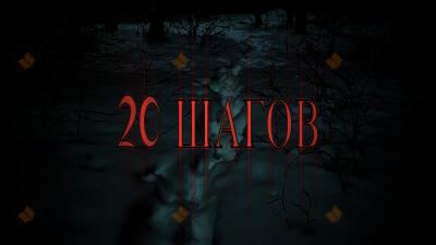 20 Шагов