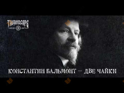 Две чайки
