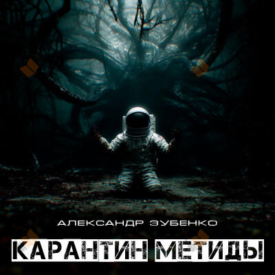 Карантин Метиды