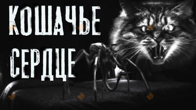 Кошачье сердце