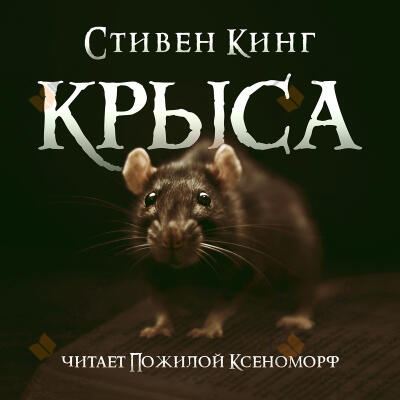 Крыса