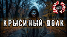 Крысиный волк