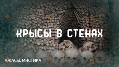 Крысы в стенах