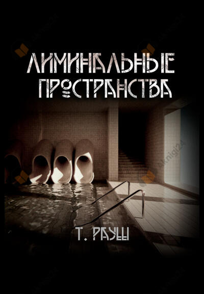 Лиминальные пространства