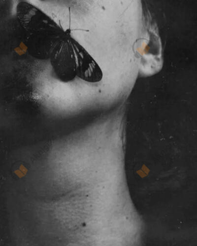 Логово мотылька