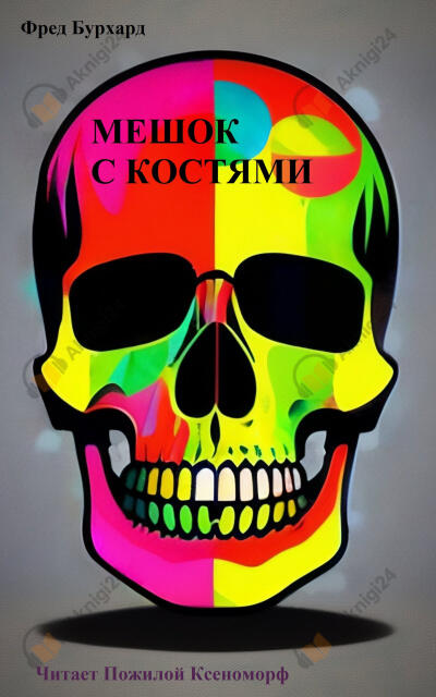 Мешок с костями