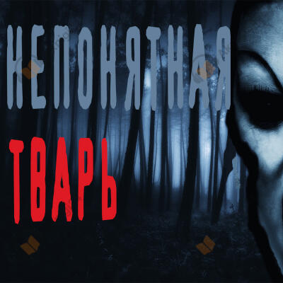 Непонятная тварь