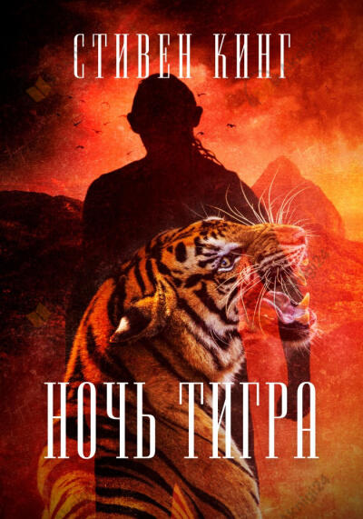 Ночь тигра