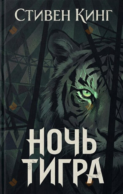 Ночь тигра