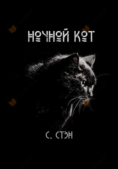 Ночной кот