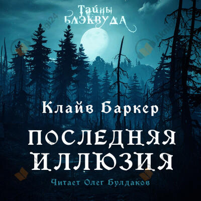 Последняя иллюзия