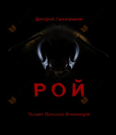 Рой