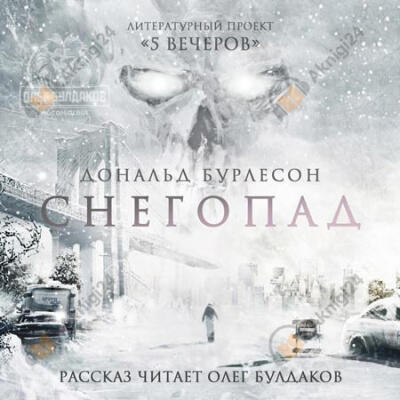 Снегопад