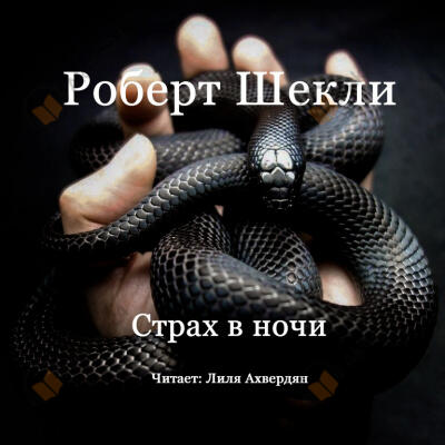 Страх в ночи