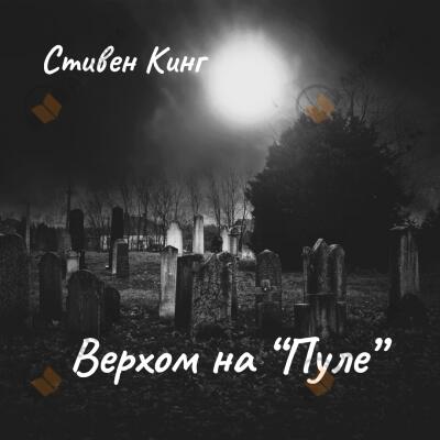 Верхом на "Пуле"