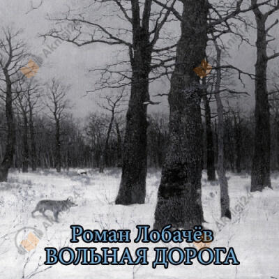 Вольная дорога