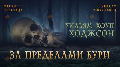 За пределами бури