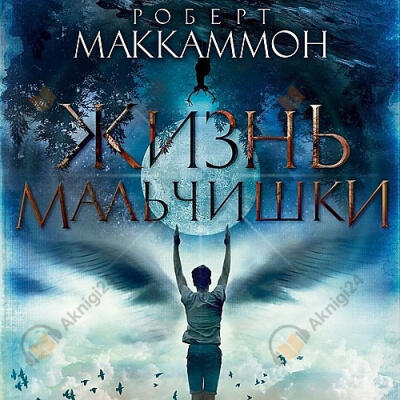 Жизнь мальчишки