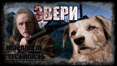 Звери