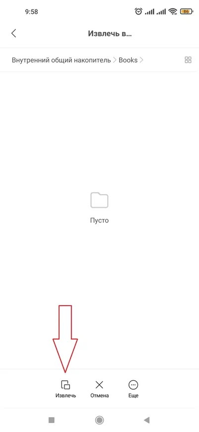 Подтверждение извлечения